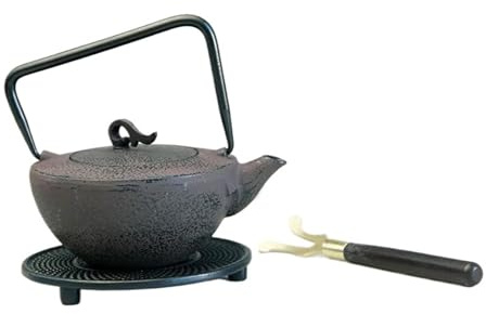 Juego De Té Para Adultos Juego Tetera Hierro Fundido Utensilios Kung Fu Colador Acero Inoxidable Juegos De Té Portátiles(C)