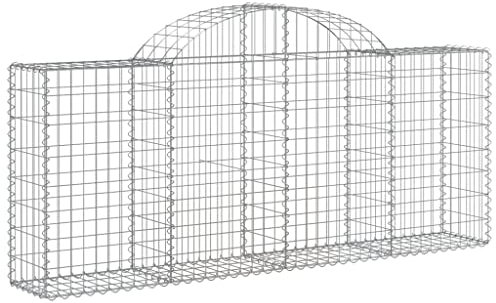 vidaXL Paniers à gabions arqués 40 pcs 200x30x80/100 cm Fer galvanisé, gabion, cage de gabion, panier de mur de gabion, mur de gabion
