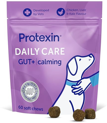 Protexin Daily Care Gut+ Calming Supplement for Dogs, 60 Soft Chews | Pre & Postbiotic Chew for Dogs, Support Calm Behaviour, Gut Balance & Digestive Wellbeing, Trout, Chicken & Kale Flavour