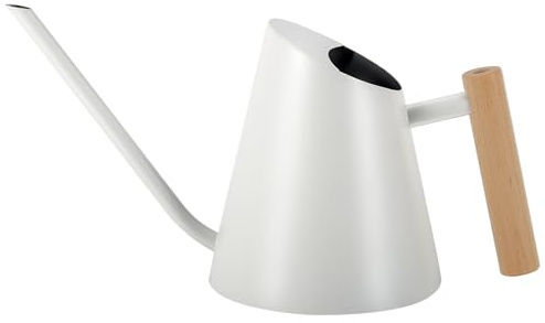 900ml Metall Gießkanne, 30,4oz Edelstahl Indoor Gartengießkanne, Weiß | Gießkanne für Pflanzen im Innen- und Außenbereich, Bonsai mit langem Ausguss und Holzgriff
