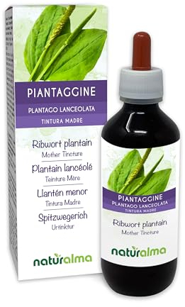 Llantén menor o Siete venas (Plantago lanceolata) hojas Tintura Madre sin alcohol Naturalma - Extracto líquido gotas 200 ml - Complemento alimenticio - Vegano