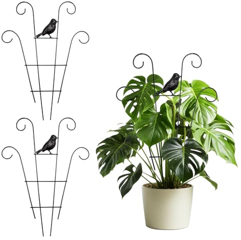 Rankgitter Groß, 2 Stück Rankhilfe Zimmerpflanzen Rankhilfe Metall Pflanzen Rankhilfe Pflanzenstütze Rankgitter Rankhilfe Für Kletterpflanzen Gartenspalier für Tomaten Blumen Rosen (40 * 30)