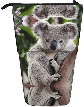MOLIAE Federmäppchen mit niedlichem Koala-Aufdruck, Stiftehalter, Teleskop-Federmäppchen, Schreibwaren, für Schule, Büro, Süßer Koala, Einheitsgröße