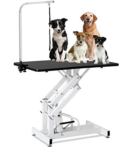 PRUJOY Professioneller Hundepflegetisch, robuster, frei anhebbarer hydraulischer Haustierpflegetisch, mit verstellbarem Arm, Hundepflegestation, für große Hunde (Z)