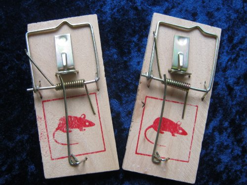 2 x Mausefallen aus Holz, Metallbügel, es ist sehr einfach zu bedienen und sehr effektiv