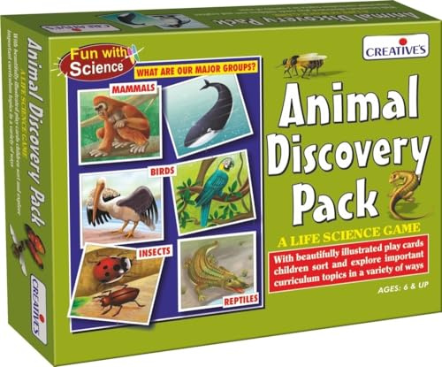 Creative Educational Kreatives Vorschultier-Set