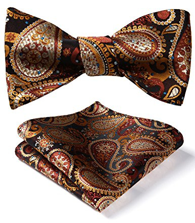 HISDERN Set Papillon da uomo jacquard motivo cachemire per festa di nozze e Pochette