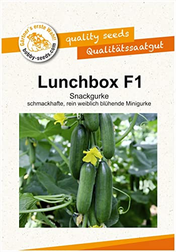 Lunchbox F1 Snackgurkensamen von bobby-seeds Portion
