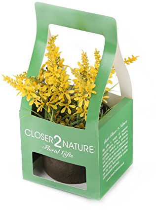Closer 2 Nature Artificial Flower, Künstliche Mini Glockenblumen Pflanze in Geschenk Box, 18 cm, gelb