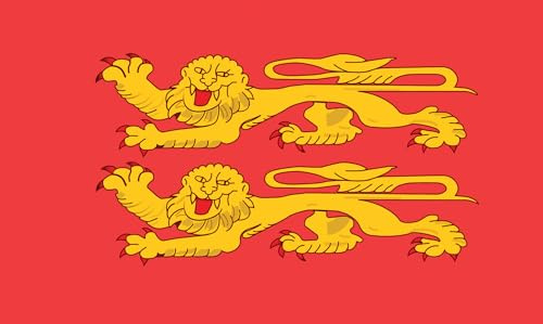 P'TIT CLOWN - Drapeau 90x150 cm - Parfait pour Célébrations nationales, régionales et Événements Sportifs (Normandie)