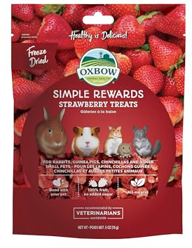 Oxbow Simple Rewards Small Pet Treats, Freeze Dried Fruit, Guinea Pig & Bunny Treats, Healthy Pet Fruit Snack for Rabbit & Guinea Pig, Freeze Dried Strawberries, 0.5 oz Bag