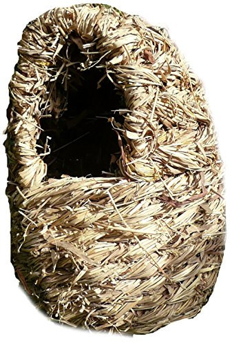 Oval Roosting Nest Pocket