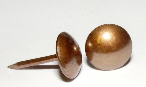 Polsternägel Altmessing Hell 110 1/3 250 Stück 10 mm