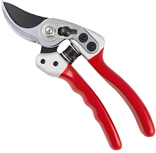 Darlac Expert Bypass Small Pruner – Razor Sharp Blades - Garden Secateurs Ideal for Small Hands – Secateurs for Fine Pruning - SK5 High Carbon Steel Blade, DP1033