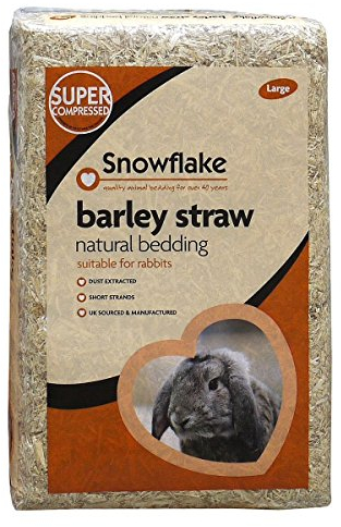 Snowflake Barley Straw, Large