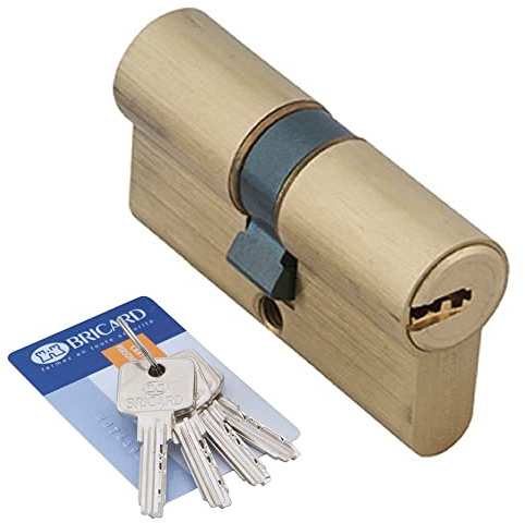 Bricard 1756 Cylindre de serrure double entrée Medial 30+30 Laiton Jaune