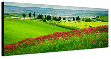 Augenblicke Wandbilder Keilrahmenbild Wandbild 150x50cm Toskana Blumenwiese Zypressen Landschaft