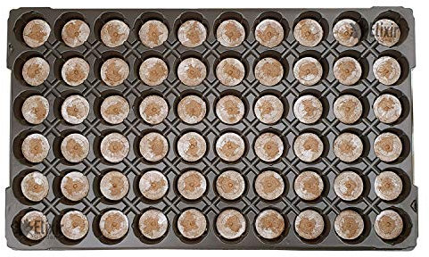 Vaschetta per seminare con Blocchi di Torba Jiffy 7-60 Alveoli (53x31cm)