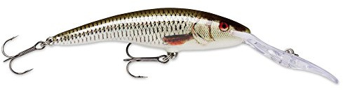 Rapala Deep Tail Dancer Wobbler (Tiefläufer) 7cm ROL (Live Roach)