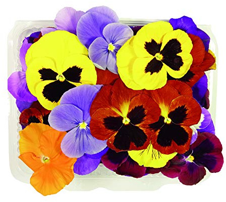 Fiori Commestibili BIOLOGICI - 60 VIOLE di COLORI MISTI in vaschetta alimentare di 23 cm x 15 cm x 1,5 cm - Coltivati in Toscana dall'azienda agricola Carmazzi