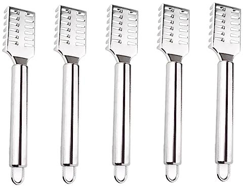 HOLIDYOYO Set di 5 Raschietti per La Pelle del Pesce in Acciaio Inossidabile Argentato Robusti per Una Facile Pulizia della Cucina