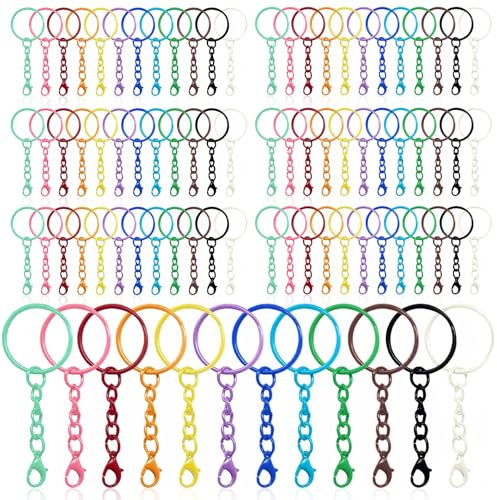 YMTWSRY 120 Stück Schlüsselring mit Kette, Bunt Schlüsselanhänger Basteln mit Karabinerverschluss 25mm Metall Schlüsselringe für Schmuckherstellung Schlüssel Handwerk DIY