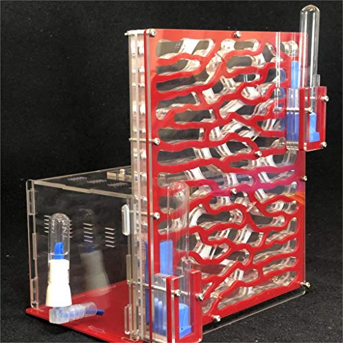 DIY Große Ameisenfarm aus Acryl mit Fütterungsbereich Großes Ameisenhaus Ameisennest Villa Insekt Haustier Ameisenhaufen Workshop 6 Schichten 19,5 * 15 * 22 cm (RED)