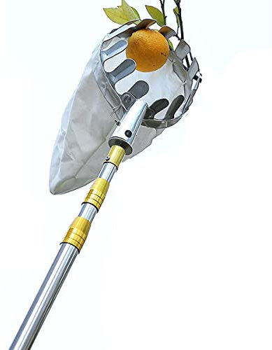Cueilleur De Fruits avec Manche Télescopique, Collecteur De Fruits, Cueilleur De Cerises, Aide À La Cueillette en Acier Inoxydable, Cueilleur De Fruits, Aide Pratique À La Récolte pour Poire, Citron