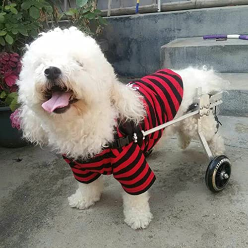GagalU 2-Rad-Verstellbarer Hunderollstuhl für Die Hinterbeine, Gehhilfen für Alternde, Behinderte, Verletzte, Arthritis, Schwache Hunde/Katzen/Haustiere mit Schwachen Hinterbeinen