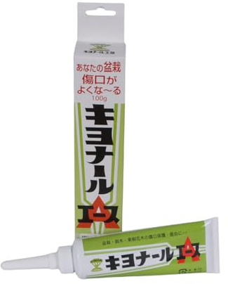 IRUN BONSAI Kiyonal Ace Pâte cicatrisante pour bonsaï Marron transparent 100 g