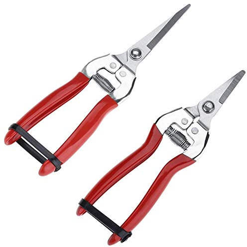 XYDZ 2PCS Forbici da Potatura, cesoie per Giardinaggio con Acciaio Inox per Giardino Forbici Professionali per potatori Lame, Cesoie da potatura, Disposizione dei Fiori, Taglio delle Piante, Raccolta