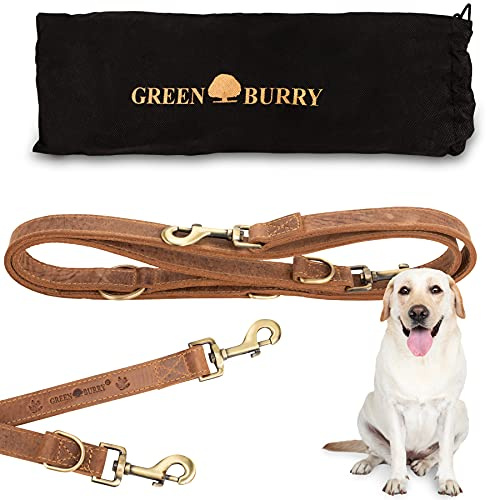 Greenburry Hundeleine Braun 200 cm - Extrem Robust aus hochwertigem und doppellagigen Rindsleder (2,5 cm breit) - Ideale Hunde Leine für Große Hunde - 3 Fach verstellbar - Rostfreier Karabinerhaken