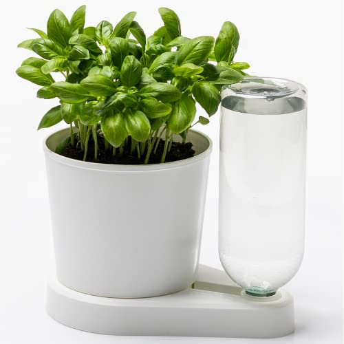 greevi kräuterheld | Selbstbewässernder Pflanztopf für Küchenkräuter | Made in Germany | Kunststoff (Standard, weiß)