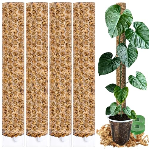 PlantScraper XL Moosstab für Monstera 4 x 63 cm - Erweiterbare Monstera Rankhilfe & Zubehör-Set - Pflanzstäbe mit Pflanzen-Klettband & Moosstangenmischung - Optimiert für Aroiden