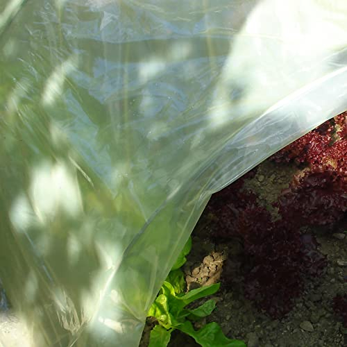 Tenax Sun Film, 2,00 x 10 m Jaune, Film de Protection Imperméable en Plastique pour Couverture Tunnel et Serres Potagères, Protection pour Cultures et Légumes