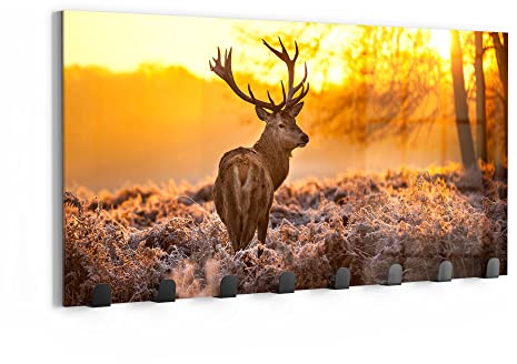 DEQORI Wandgarderobe Glas & Metall | Motiv Hirsch am Wintermorgen | 60x30 cm | Design Haken-Leiste modern | Garderoben-Paneel für Flur, Wohnzimmer & Schlafzimmer | magnetisch & beschreibbar