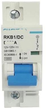 Strömbrytare DC 1P 12V 24V 36V 48V 60V 72V 96V 120V Solbatteri Urladdningsbatteri Strömbrytare RV 100A 125A 150A 200A 250A (80A)