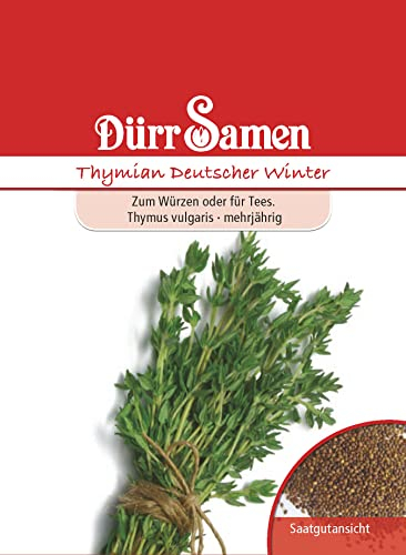 Thymian Samen Deutscher Winter Thymiansamen ca 300 Korn Küchenkräuter Kräutersamen Saatgut Balkon Garten Hochbeet Kübel Dürr Samen