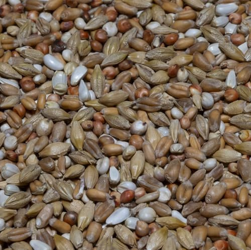 Bamfords Top Flight Depurative Pigeon Food 20kg