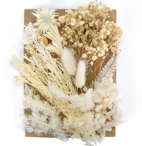 Natürliche Getrocknete Blumen,Gepresste BlumenGemischte,Getrocknete Blätter,Rockenblumen Set,DIY Gepresste Blumen,Echte Getrocknete Gepresste Blumen,Blumen für DIY-Kerzenharz (A)