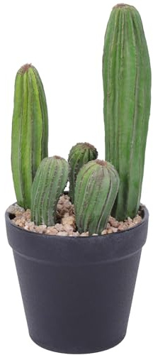 Yinleus Cactus artificiale da 28 cm, cactus finto in vaso, per interni ed esterni, casa, ufficio, negozio, decorazione