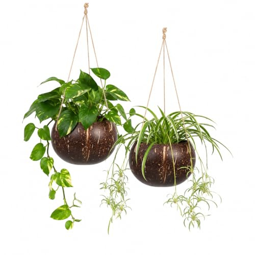 Supvox 2Er-Set Hängende Kokosnussschalen Pflanzkörbe Für Innen Und Außen Balkonpflanzer Deko Hängeampeln Robust Und Wetterfest 10.2X4.7X2.9 Zoll