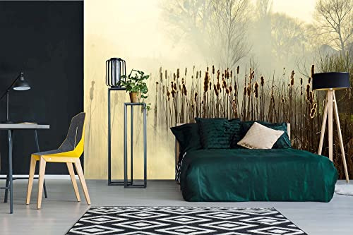 Vlies Fototapete SCHILF IM NEBEL 375 x 250 cm (inkl. Kleister) - Vlies Tapete, Wandtapete, Wandbilder - Tapete für Wohnzimmer Schlafzimmer, Büro, Küche - Montagefertig