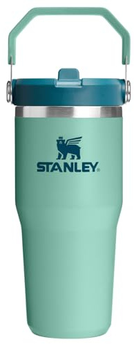 STANLEY IceFlow 2.0 Flip Straw Tumbler with Handle 14 oz | Twist On Lid and Flip Up Straw | Leakproof Water Bottle | Insulated Stainless Steel | BPA-Free | Spring Green