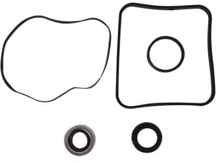 Gutol Kit de reparación de juntas tóricas SP3000X para bomba R Super II. El kit de reparación para bombas de piscina de la serie SP3000X incluye el conjunto de sello del eje SPX1600Z2 PS-201.