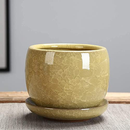 Jelly Purple Sand Succulent Flower Green Plant Planter Ice Cracked Glazed Ceramic Flower Pot Indoor Outdoor Planters Home And Office Decor Ceramic Succulent Plants Pot Interesting