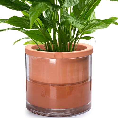 Phoenix Vine Pot de Fleurs en Terre Cuite Blanche à Auto-arrosage de 25,4 cm pour Plantes, Pot d'intérieur cylindrique en Terre Cuite avec Vase en Verre