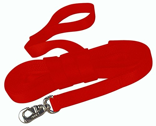 Hamilton Langleine für Pferde, Nylon, mit Drehverschluss, 2,5 cm, Rot