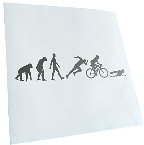 Kiwistar - Autocollant - Triathlon Evolution - 24x6cm - argent - G24 - Pour voitures, vélos, véhicules, motos, cyclomoteurs, tuning, vitres arrière