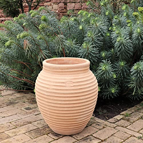 Palatina Keramik | handgefertigte Terracotta Amphore | frostfest und hochwertig | bauchige Gartenamphore Ficus in sechs Größen erhältlich (50cm)